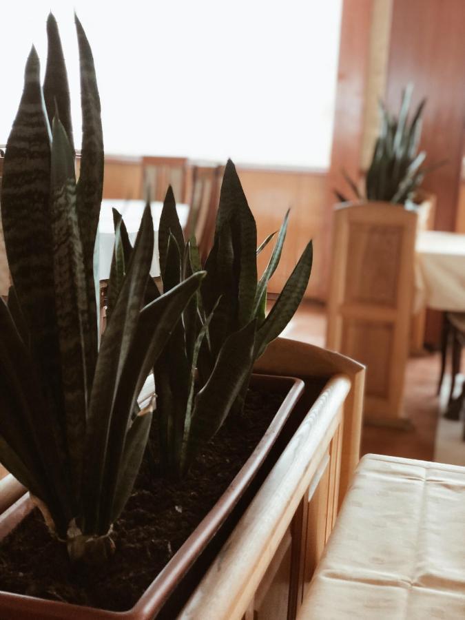 Hotel Kupres كوبريس المظهر الخارجي الصورة